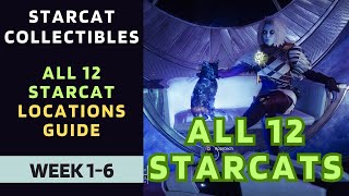 All Starcat Locations Guide  Week 16  Season of the Wish  Destiny 2 [upl. by Yremrej]