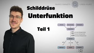 Zwischen Gehirn und Schilddrüse  👨‍🏫 Hypothyreose  Folge 1 [upl. by Enylorac]