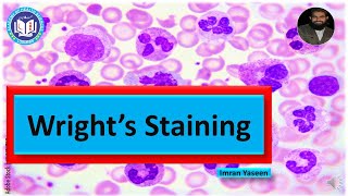 Wrights stain Methanol based Romanowsky stains needs no fixation  Hematology  by Imran Yaseen [upl. by Elysee]