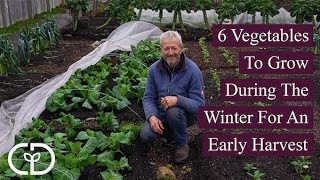 6 Vegetables To Grow During The Winter For An Early Harvest [upl. by Patrica]