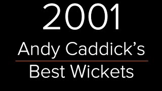 Andy Caddicks Best Test Wickets of 2001 [upl. by Wolenik]