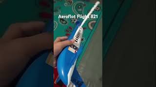 Aeroflot Flight 821 Recreated in Lego [upl. by Ellehcim253]