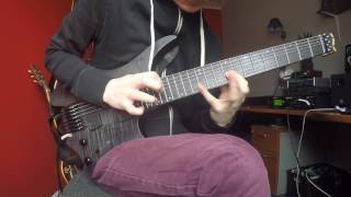 HAKEN  Lapse Solo Cover Liam McLaughlin [upl. by Aia731]