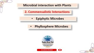 Commensalism  Microbial interaction with plants part2 bacteriology plant [upl. by Teodoor]