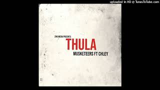 Musketeers  Thula ft Chley Audio Visualizer [upl. by Kaden]