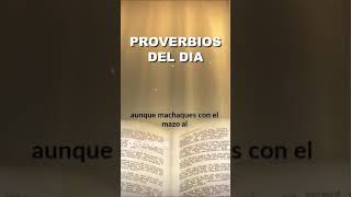 16 de Noviembre  Proverbios del Dia [upl. by Haissem]