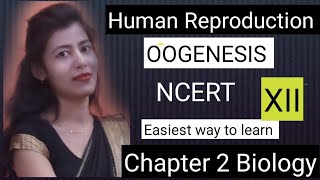 Oogenesis Human reproduction class 12 biology educationk6111 [upl. by Anerul]