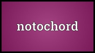 Notochord Meaning [upl. by Fox252]