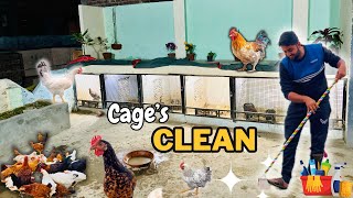 Pet House Ki Safai🧹kar di  ab New Rabbits 🐇 layn gyn 🥰 [upl. by Apul]