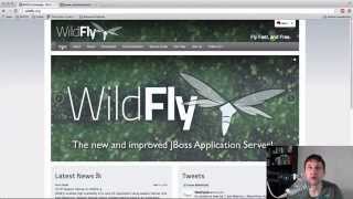 JBoss 8 Wildfly Erster Blick [upl. by Nawuq]