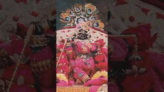 Radharani best ringtones radhajikebhajan ringhtone shorts [upl. by Allina]