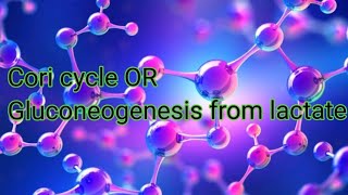 Cori cycle Gluconeogenesis from lactateviral science neet drhadi [upl. by Eissehc]