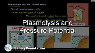 Plasmolysis and Pressure Potential Biology Lecture  Sabaqpk [upl. by Onra]