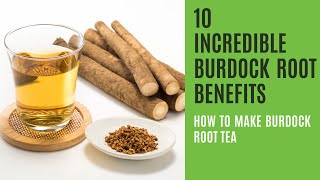 10 Impressive Benefits of Burdock Root  How to Make Burdock Root Tea [upl. by Kasey163]