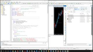 MT4 Coding Basics Lesson 1  Basics To Help You Understand Coding [upl. by Ameyn890]