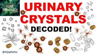 Practical Pathology Examination of urine sediment URINARY CRYSTALS [upl. by Huldah]