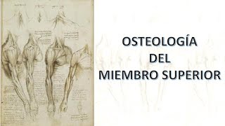 Osteología del miembro superior [upl. by Namialus]