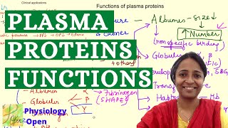 Plasma proteins  functions and clinical applications  Blood physiology mbbs 1st year lecture [upl. by Ellita533]