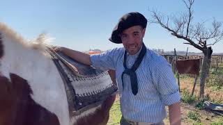 como ensillar un caballo campogrande argentino video viral costumbres delcampo tradicion [upl. by Elocin]