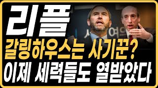 리플XRP갈링하우스는 사기꾼 이제 세력들도 열받았다6월12일 오후 속보 [upl. by Snebur795]