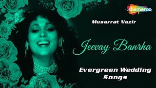 Punjabi Marriage Songs  Jeevay Banrha  Evergreen Wedding Songs  Musarrat Nazir [upl. by Leclair]