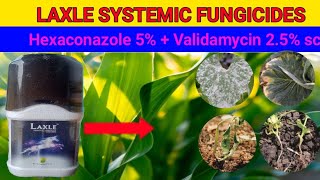 Laxle systemic fungicideshexaconazole 5  validamycin 25 sc  full information [upl. by Aizatsana976]