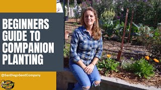 Beginners Guide to Companion Planting [upl. by Delores]