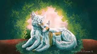 Brightheart and Cloudtail Speedpaint 1 YEAR IMPROVEMENT [upl. by Fiske423]