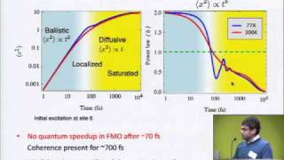 Quantum Mechanics of Photosynthetic Light Harvesting Machinery Google Workshop on Quantum Biology [upl. by Rolyab]