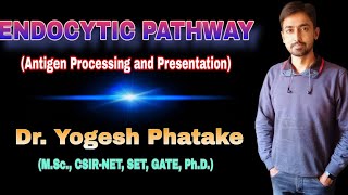 Endocytic Pathway Antigen processing and presentation Explained by Dr Yogesh [upl. by Cortie413]