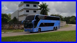 Movimentação De Ônibus Na Rodoviária De Recife  281024 [upl. by Adnarahs407]