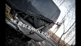 The Best Budget Ranch Rifle  Truck Gun [upl. by Annohsat]