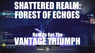 Destiny 2  How to get the Vantage Triumph Forest of Echoes Shattered Realm Secret Triumph [upl. by Ateuqahs]