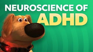 Neuroscience of ADHD [upl. by Winny]