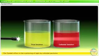 Tyndall Effect Animation 3D Video Examples of Tyndall Effect [upl. by Hutchins]