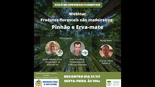 Webinar Pinhão e ervamate [upl. by Anelys]