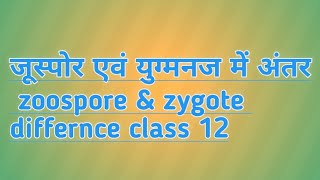 जूस्पोर एवं युग्मनज में अंतर zoospore amp zygote differnce class 12 BantysirBiology [upl. by Reuven]