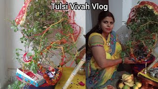 Tulsi Vivah VlogTulsi mata Vivahtulsivivah MeenamauryaVlog74 [upl. by Harvison805]