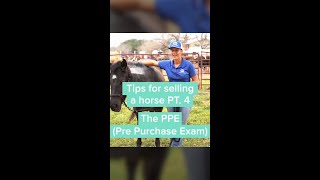 The PPE Pre Purchase Exam [upl. by Brandais329]