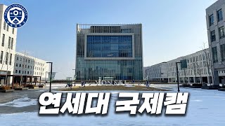 연대 신입생이 생활하는 송도 캠퍼스는 어떻게 생겼을까  연세대 국제캠 [upl. by Chor480]