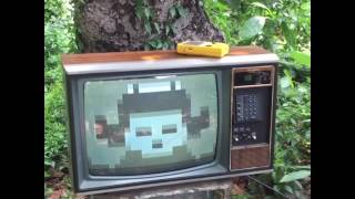 Retro TV Forest [upl. by Hawker841]