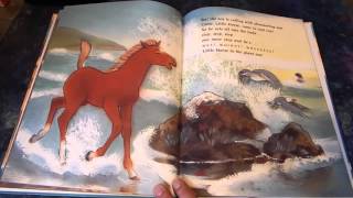 The Wild Little Horse By Rita Grey Read Aloud For Kids [upl. by Wanyen]