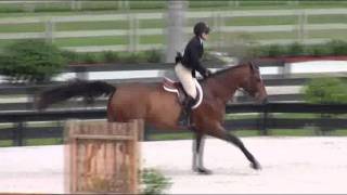 Video of EL CAPRICHO ELIAM HORTA ridden by BRIANNE GOUTAL from ShowNet [upl. by Wakerly]