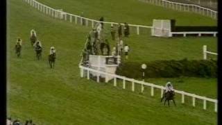 1981 Haig Fox Hunters Chase [upl. by Beker]