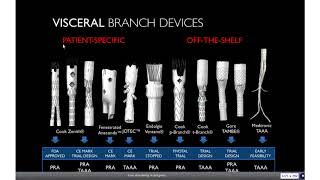 FEVAR  BEVAR Tips and Tricks From Sizing to Implantation and Evaluation [upl. by Ailes]