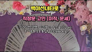 직장운 고민타파 타로 여러분의 직장운 운세 타로  이직  대인관계 조언까지 [upl. by Pleasant]