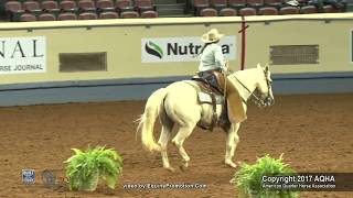 A Judges Perspective 2017 AQHYA Ranch Riding World Champion [upl. by Yasnil]