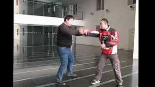 Beijing BaguaZhang Fighting Techniques八卦掌打法 [upl. by Nalaf]