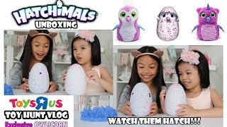 Toys R Us Toy Hunt Hatchimals Unboxing Watch as they Hatch [upl. by Severn]