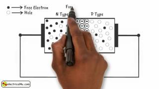 How does a Diode Work A Simple Explanation  How Diodes Work  Electrical4U [upl. by Volpe]